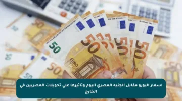 أسعار اليورو مقابل الجنيه المصري اليوم وتأثيرها على تحويلات المصريين في الخارج